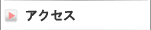 �A�N�Z�X